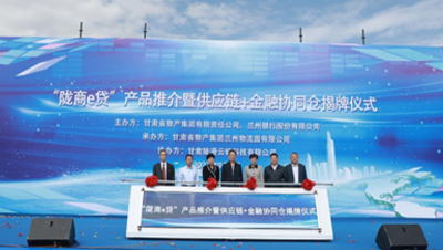 通過(guò)發(fā)行公司債券、不動(dòng)產(chǎn)投資信托基金（REITs）、培育上市公司等債權(quán)、股權(quán)融資工具和發(fā)起設(shè)立產(chǎn)業(yè)基金，拓寬多元化融資渠道；提供貨物在途監(jiān)管和在庫(kù)監(jiān)管，引入銀行、信托等金融機(jī)構(gòu)，開(kāi)展倉(cāng)單質(zhì)押、保理等業(yè)務(wù)；逐步拓展B2B供應(yīng)鏈服務(wù)平臺(tái)服務(wù)范圍，通過(guò)倉(cāng)配一體化、“隴易商”、供應(yīng)鏈+金融為區(qū)域流通行業(yè)及相關(guān)產(chǎn)業(yè)客戶(hù)提供“四流合一”的完整供應(yīng)鏈服務(wù)解決方案。