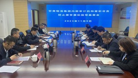  省審計廳黨組成員、副廳長陳炎人到 甘肅物流集團指導監(jiān)督工作