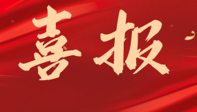  甘肅物流集團新區(qū)路港公司、蘭港投公司榮獲全國4A級陸港企業(yè)