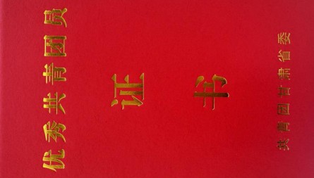 甘肅國(guó)際物流集團(tuán)綜保區(qū)公司陳雨青獲評(píng)“甘肅省優(yōu)秀共青團(tuán)員”